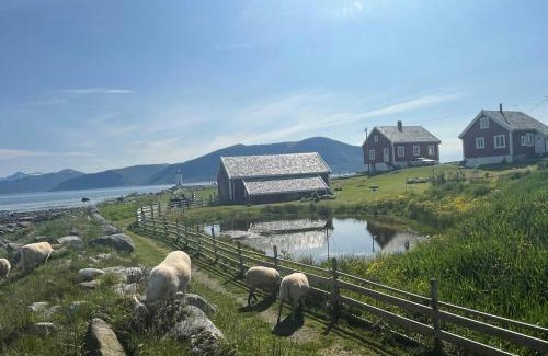 Godøy House | Historic Lighthouse Keeper's House At Høgstein