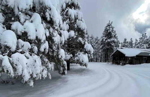 Parks House | Historic Parks Ranch Cabin near Williams
