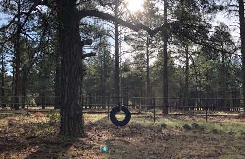 Parks House | Historic Parks Ranch Cabin near Williams