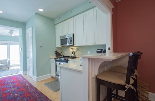 Columbia Heights House | Historic Row House. Solar Powered!