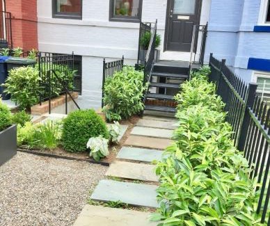 Le Droit Park Apartment | Historic ShawLeDroit Park Gem - 1 Bedroom on U St
