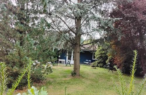 Bad Sachsa Ski Chalet | Hochwald chalet