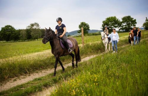 Niederberndorf Apartment | Hof Köhne - Altes Bauernhaus - Wohnung Pony