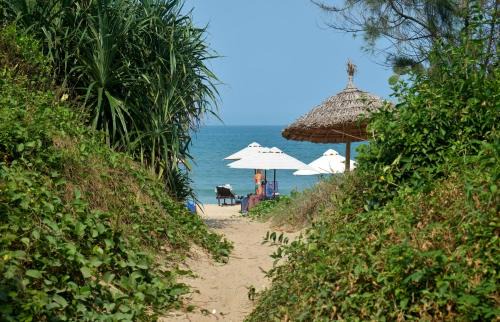 Cam An House | Hoi An Corner Homestay