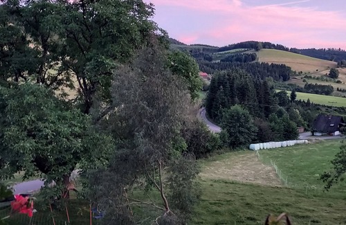 Zell am Harmersbach Apartment | Holiday Apartment 'Schwalbennest' with Shared Garden and Wi-Fi
