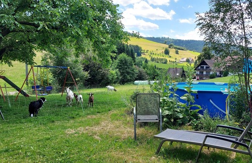 Zell am Harmersbach Apartment | Holiday Apartment 'Schwalbennest' with Shared Garden and Wi-Fi