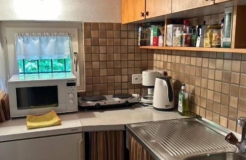 Ronco sopra Ascona Apartment | Holiday apartment Ronco sopra Ascona for 1 - 2 persons - Holiday house