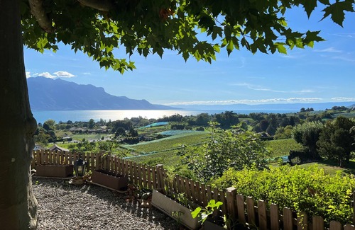 Montreux Apartment | Holiday apartment Chailly-Montreux for 1 - 6 persons with 2 bedrooms - Holiday apartment in one or m