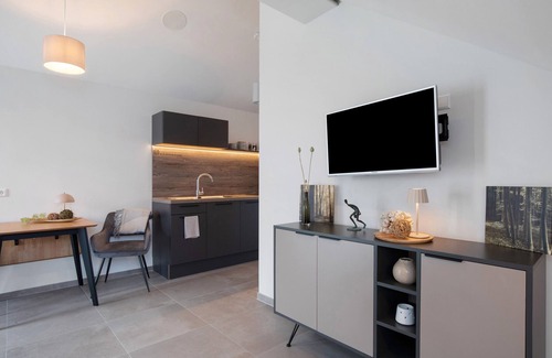 Bad Ditzenbach Apartment | Holiday Apartment '6' with Mountain View, Private Terrace and Wi-Fi