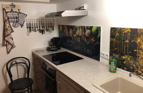 Triberg im Schwarzwald Apartment | Holiday Apartment '2' with Mountain View, Shared Garden and Wi-Fi