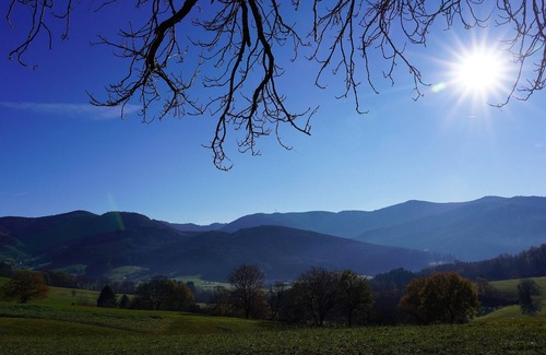 Elzach Apartment | Holiday apartment, 70 sqm, 1 bedroom, living room / bedroom, winter garden, max. 2 people