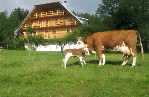 Schonach im Schwarzwald Apartment | Holiday Apartment 'Adlerhorst, 75 sqm' with Mountain View, Shared Terrace and Wi-Fi