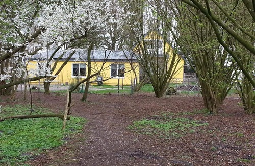 Geestland House | Holiday apartment Bad Bederkesa for 1 - 4 persons with 1 bedroom - Holiday house
