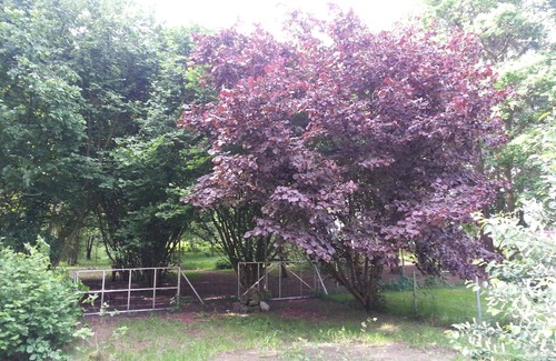 Geestland House | Holiday apartment Bad Bederkesa for 1 - 4 persons with 1 bedroom - Holiday house