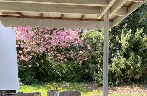 Badenweiler Apartment | Holiday apartment in the southern Black Forest with its own terrace and garden (2-4 people)
