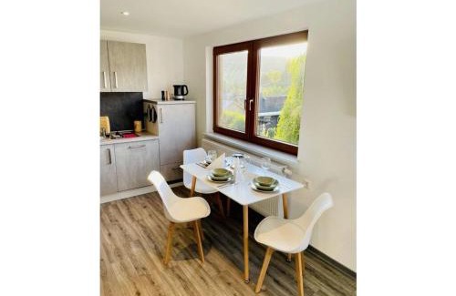 Klingenthal Apartment | Holiday apartment mountain view
