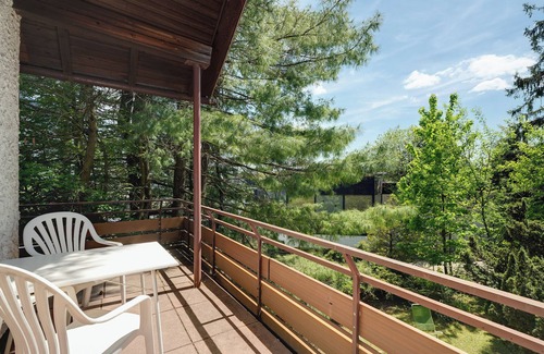 Bad Wildbad Apartment | Holiday Apartment 'No. 7' with Mountain View and Balcony; additional dogs upon request