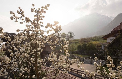 Lagundo Apartment | Holiday Apartment 'Rasnerhof Ferienwohnung Zielspitz' with Moutain View, Balcony & Wi-Fi