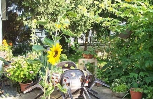 Vogtsburg Apartment | Holiday apartment Schelingen for 1 - 4 persons with 1 bedroom - Holiday apartment