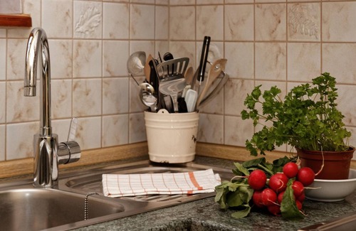 Spiegelau Apartment | Holiday apartment Spiegelau for 1 - 4 persons with 1 bedroom - Holiday apartment in one or multi-fam