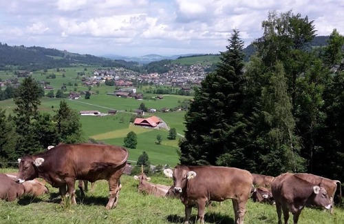 Unterageri Other | Holiday apartment Unterägeri for 1 - 5 persons with 1 bedroom - Farmhouse