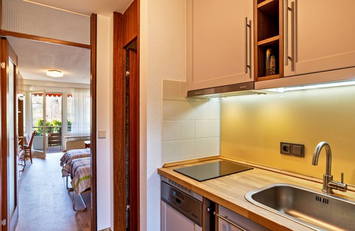 Bad Wildbad Apartment | Holiday Apartment 'Wildbad Kurparkwohnen' with Mountain View, Balcony & Wi-Fi