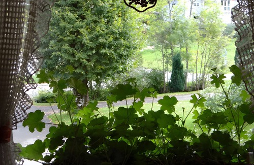 Gremmelsbach Apartment | Holiday Apartment '2, 2 Bedrooms' with Shared Garden and Wi-Fi