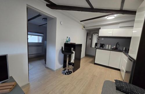 Gdynia Apartment | Holiday Flat - Attic Apartment Gdynia Oksywie