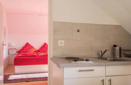 Kreuzlingen Apartment | Holiday Flat "Zimmer mit Kochnische Kletterrose" Close to the Old Town Centre