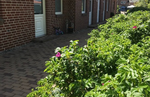 Sulsdorf House | Holiday home for 5 guests with 81m² in Fehmarn OT Sulsdorf (20414)