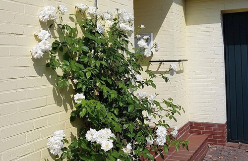 Rostrup Apartment | Holiday home Alte Strasse - holiday home "Alte Strasse", shower, toilet