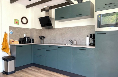 Zwiggelte House | Holiday home de Overzwaluw in the heart of Drenthe