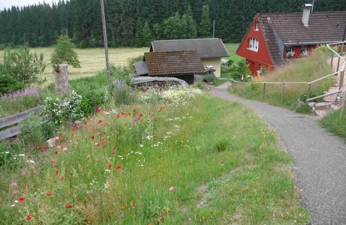 Eisenbach House | Holiday home Ferienhaus Elfi