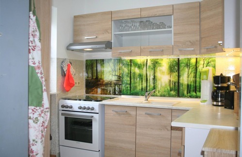 Neubau House | Holiday home for 6 guests with 65m² in Fichtelberg (120128)