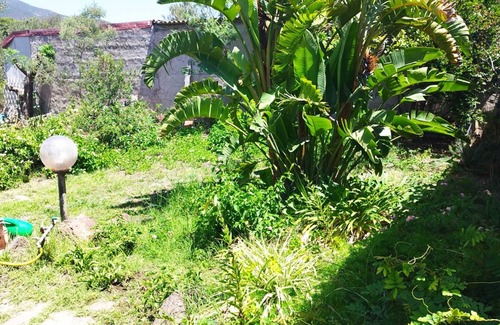 Buggerru House | Holiday Home 'Il Glicine' with Private Terrace, Private Garden and Air Conditioning