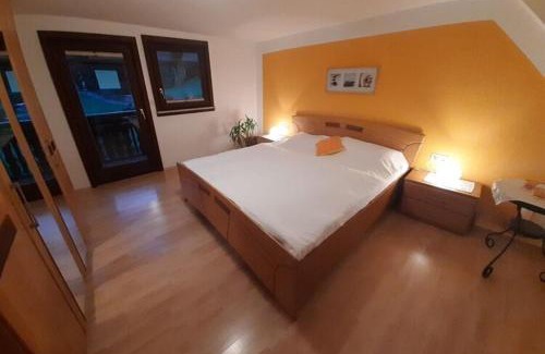 Niederwasser Apartment | Holiday Home in Hornberg near Triberg Falls