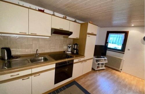Niederwasser Apartment | Holiday Home in Hornberg near Triberg Falls