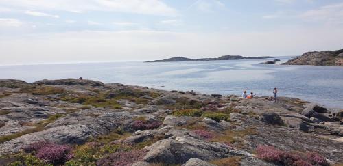 Kungsbacka Municipality House | Holiday home in Onsala near the beach