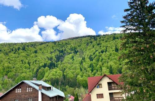 Sinaia Villa | Holiday Home in Sinaia
