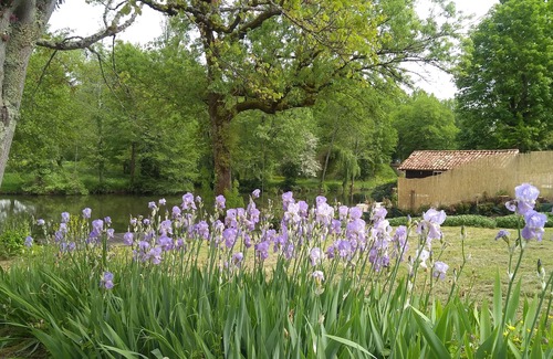 Bonnes House | Holiday Home 'la maison du Bonnesheur ' with Private Terrace, Private Garden and Wi-Fi