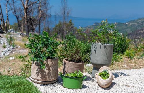 Tucepi House | Holiday Home Moj Mir