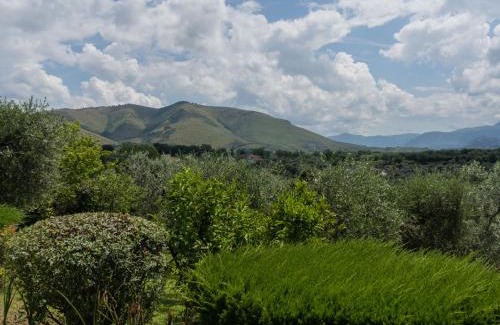 Canneto House | Holiday Home Olive Grove Sabina by Interhome