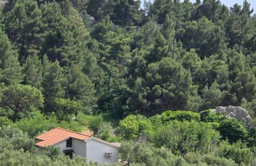 Brela House | Holiday Home Oliveta