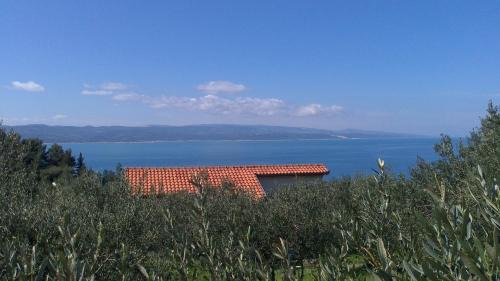 Brela House | Holiday Home Oliveta