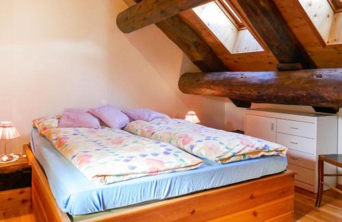 Blenio House | Holiday Home Rustico Stübii by Interhome