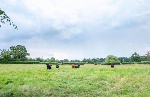 Abbess Roding House | Holiday Home The Milking Parlour by Interhome