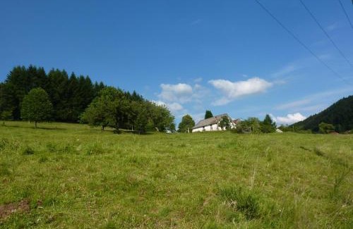 Vagney House | Holiday Home Vagney near Ski Gérardmer
