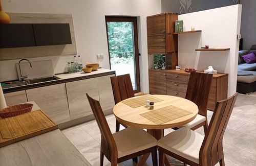 Tabarz House | Holiday Home 'Waldhaus Hempe' with Private Terrace, Private Garden and Wi-Fi