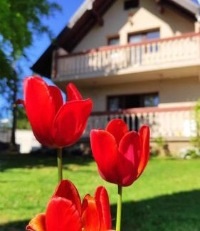 Sarajevo House | Holiday Home Zelena Oaza