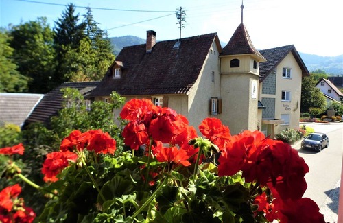 Lipburg House | Holiday Home 'Zur Alten Dame' with Mountain View, Private Garden and Wi-Fi